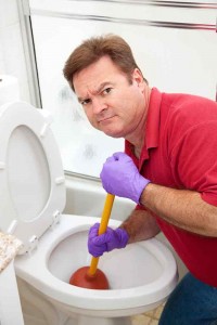 Annapolis Toilet Repair Services